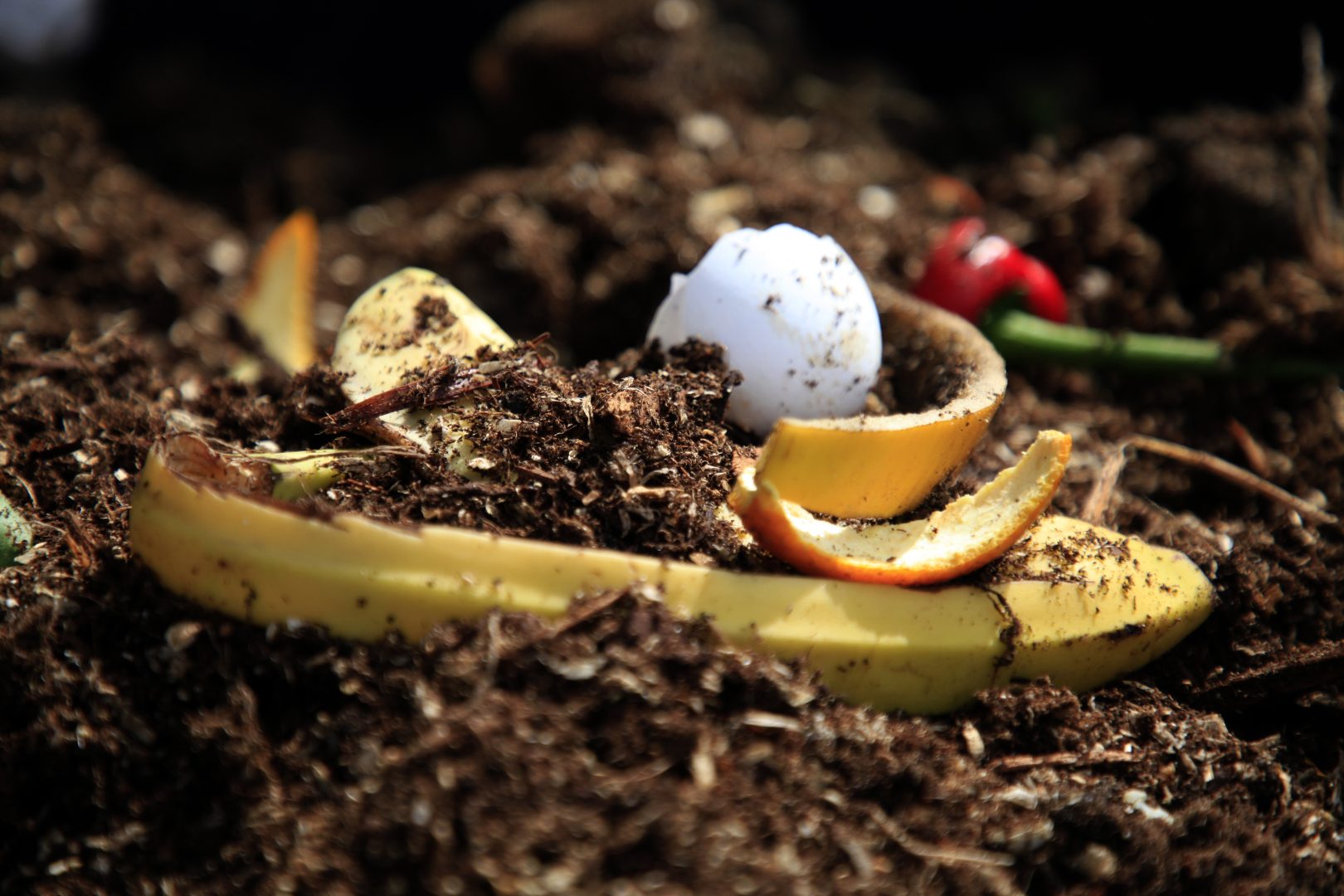 Uusi jätelaki muuttaa kompostoimista