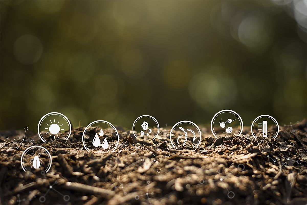 Biologisesti aktiivinen, monimuotoinen kasvualusta