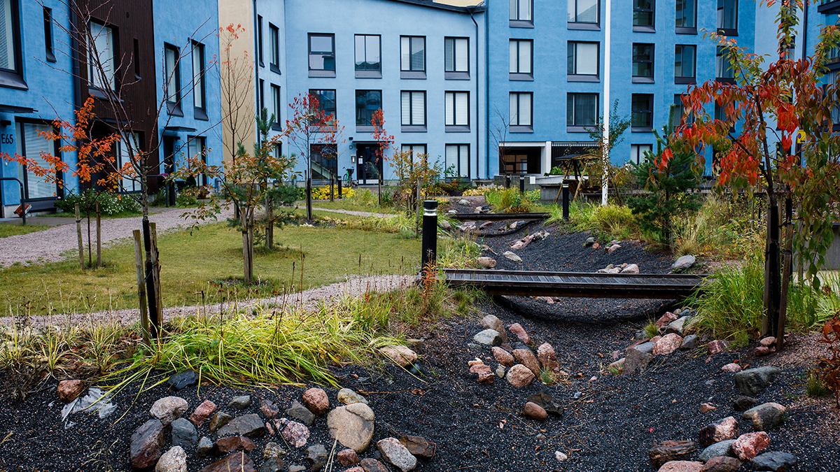 Hulevedet hitaasti uomiin – Hulevesien hallintaa Helsingin Kuninkaantammessa