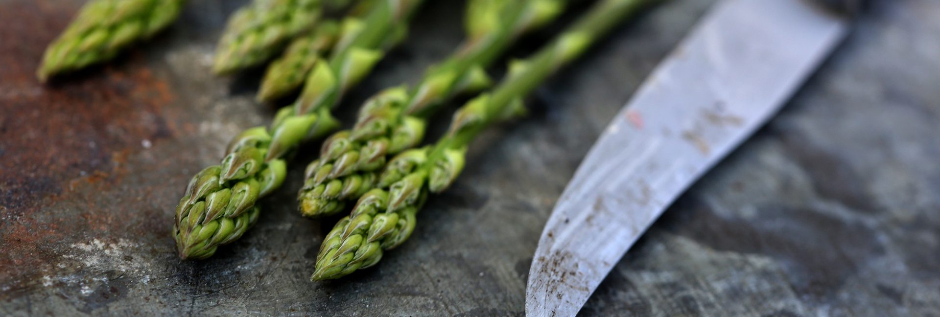 Parsan kasvatus – Kärsivällisen tarhurin työ palkitaan