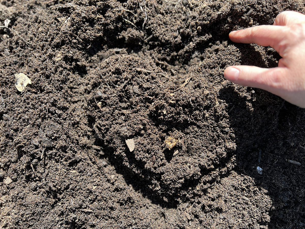 Juuristo voi hyvin, kasvi voi hyvin!