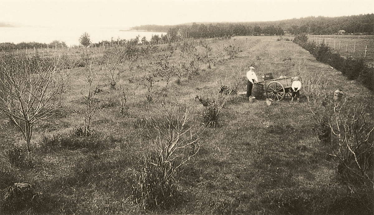 Kekkilän historiikki