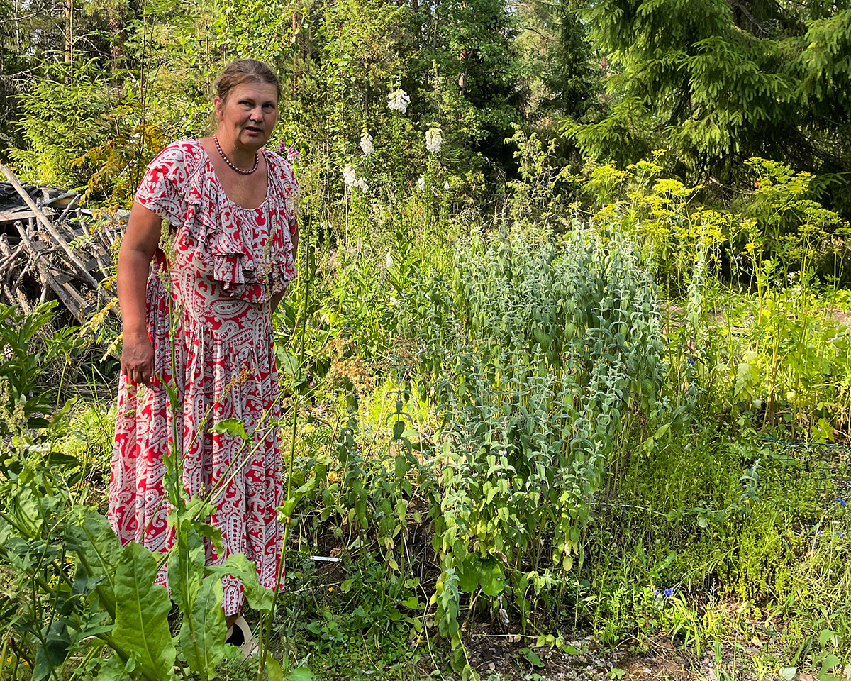 kirjailija Satu Hovi-yrttipuutarhassaan - kertoo syötävistä perennoista