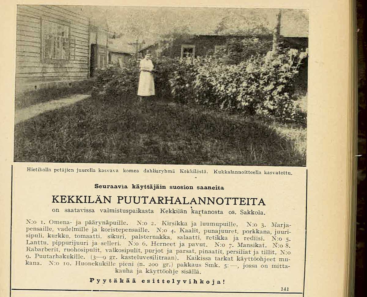 Harvinaislaatuinen Kekkilän lannoitemainos Puutarhalehdestä vuodelta 1928.
