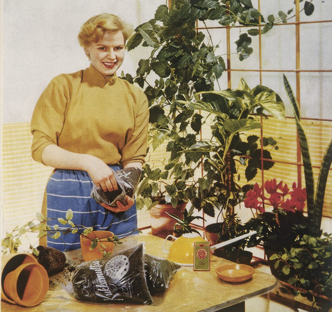 Puutarhatuotteiden historia – edelläkävijä jo 100 vuotta