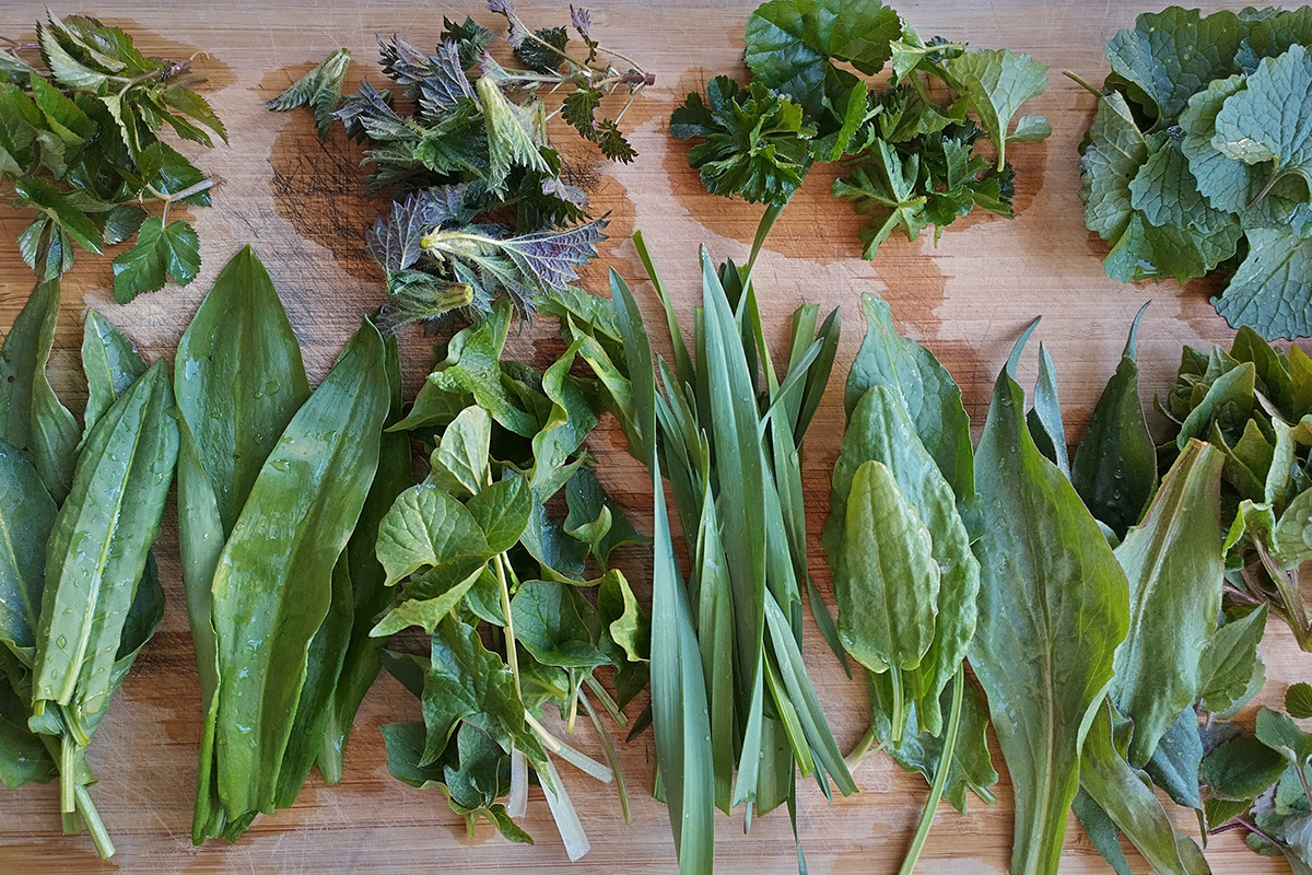 Monivuotiset vihannekset