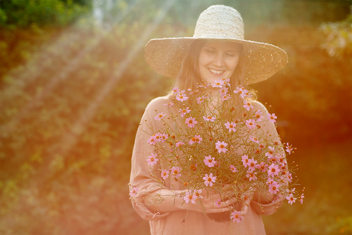 Kunnosta perennapenkki