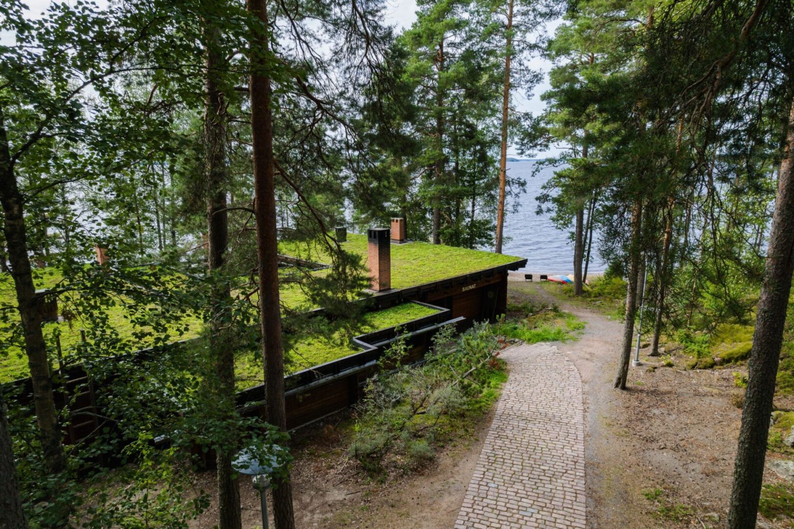 Murikanrannan biohiiliviherkatto on kestävän rakentamisen innovaatio 