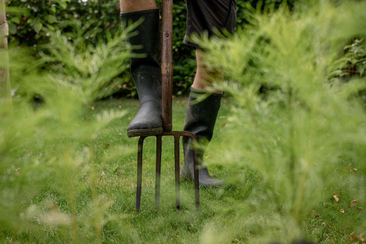 Mitä tehdä tiivistyneelle nurmikolle?