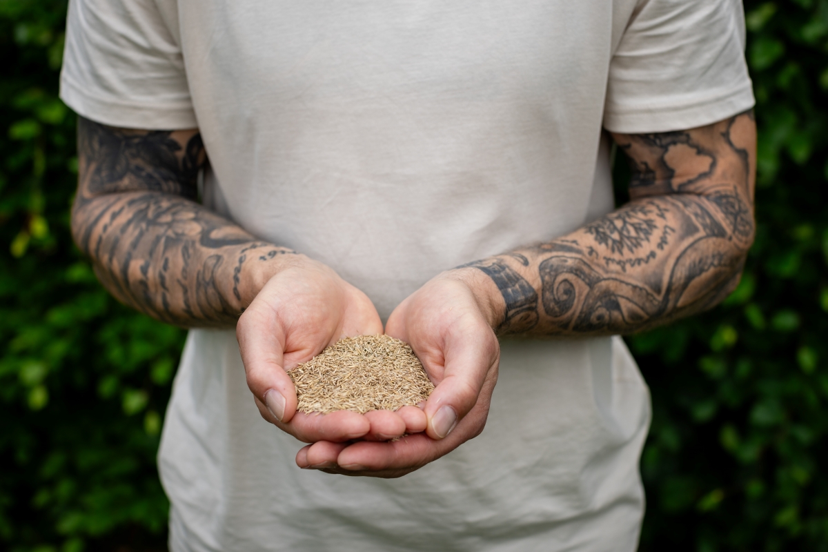 Nurmikon paikkaus – Näin kunnostat kuluneen nurmikon