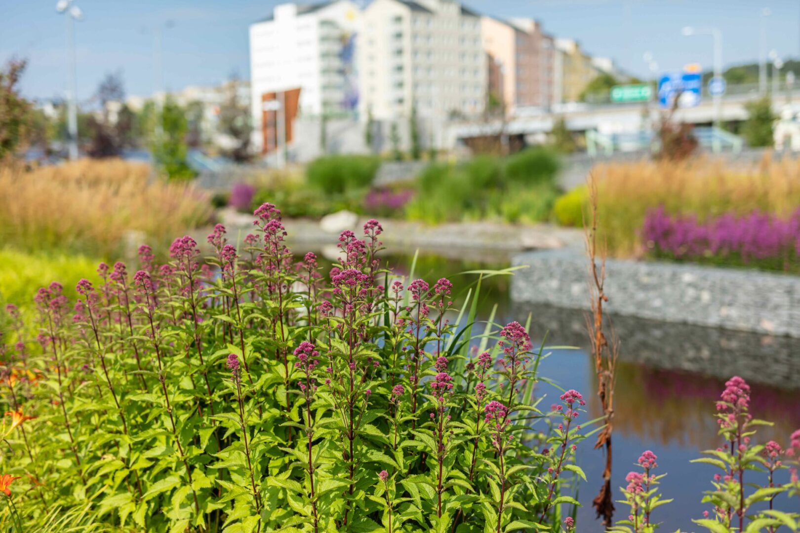 Kaupunkivihreän potentiaalia ei monissa kunnissa hyödynnetä