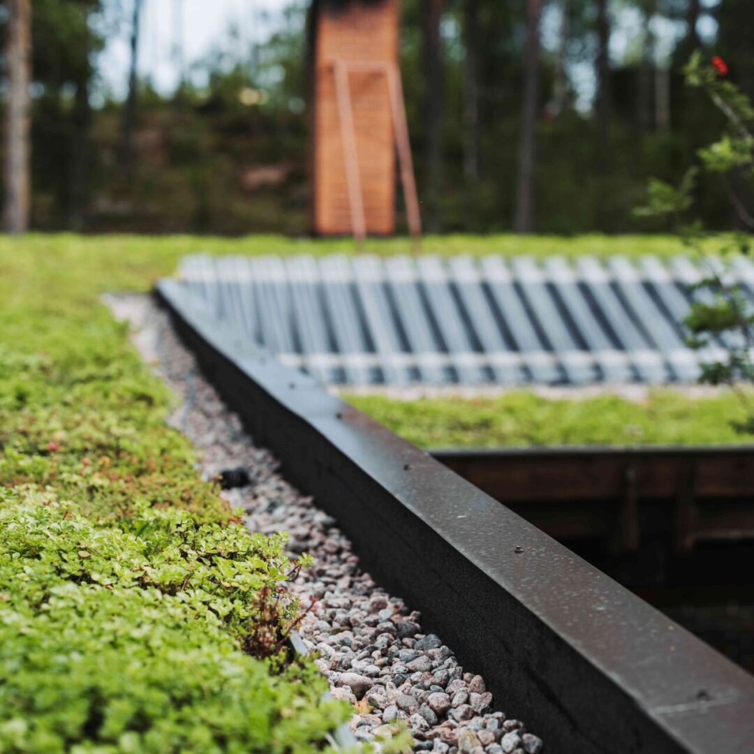 Miten suunnitellaan nollapäästöinen kasvikatto?