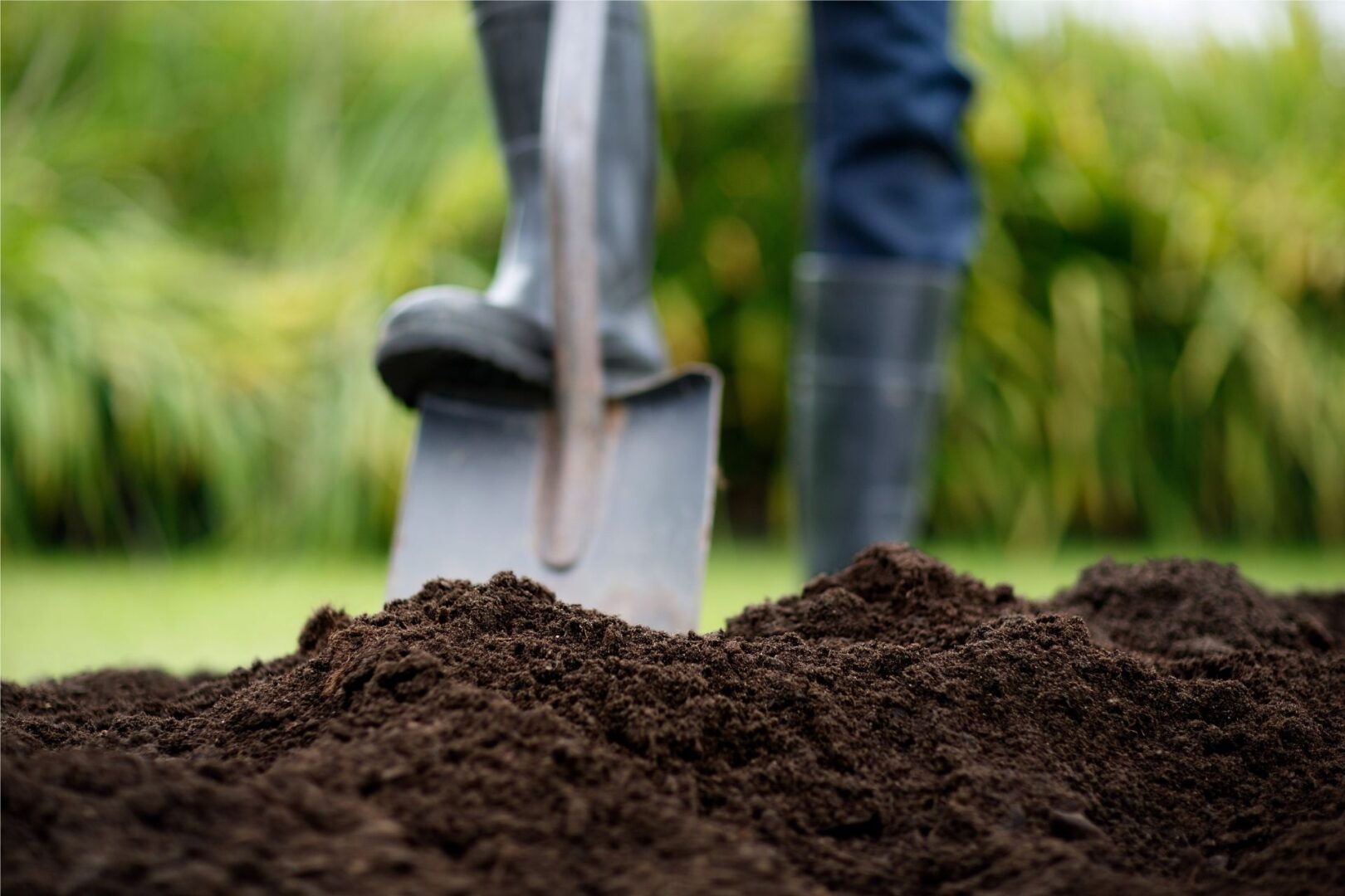 Rikkakasvien torjunta