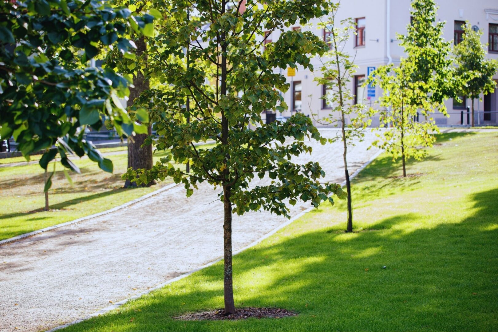 Rovaniemen vihreä kierto: Puutarhajätteestä paikallista multaa ja kestävää viherrakentamista
