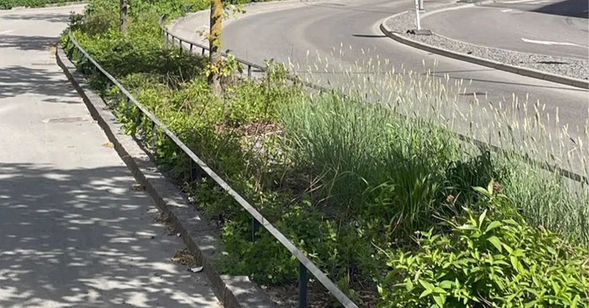 Innovatiivisia ratkaisuja hulevesien hallintaan Rosendalissa