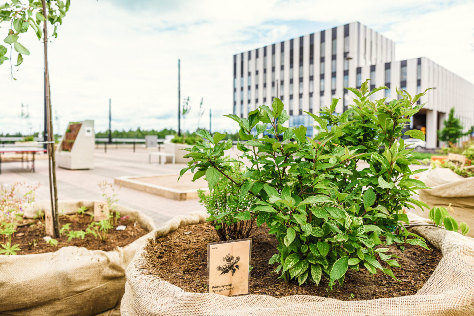Ilmalantori vihersi yhteistyön ansiosta