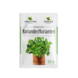 Korianteri siemen