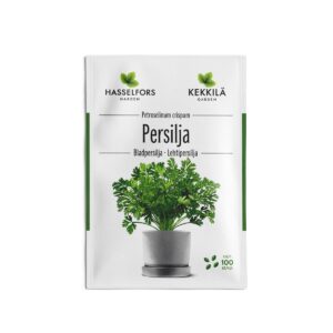 Lehtipersilja siemen