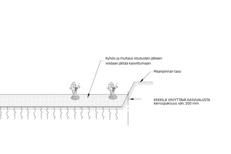 poikkileikkauskuva hulevesipainanteesta, jossa käytetään viivyttävää kasvualustaa