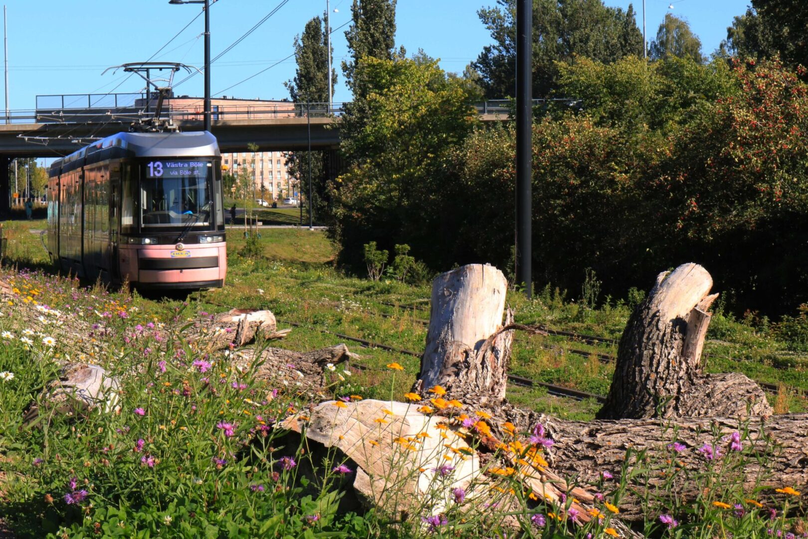 Raitiolinja 13 Kalasatamasta Pasilaan vihertää
